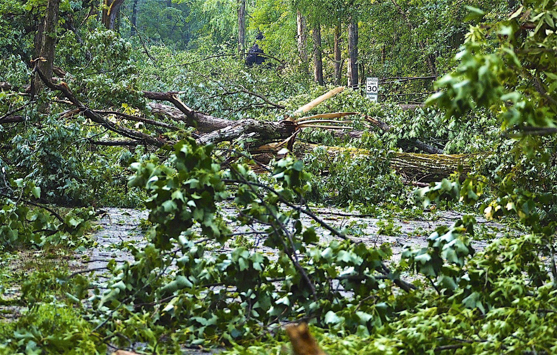 Lafayette Storm Damage